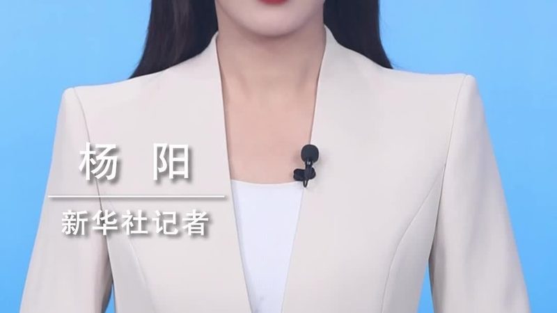 企业数据定制化服务：揭秘其价值与选择要点